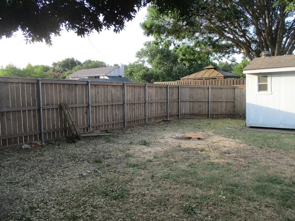 Cleared yard after professional tree removal in College Station